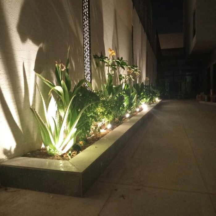 احواض زراعه (8)