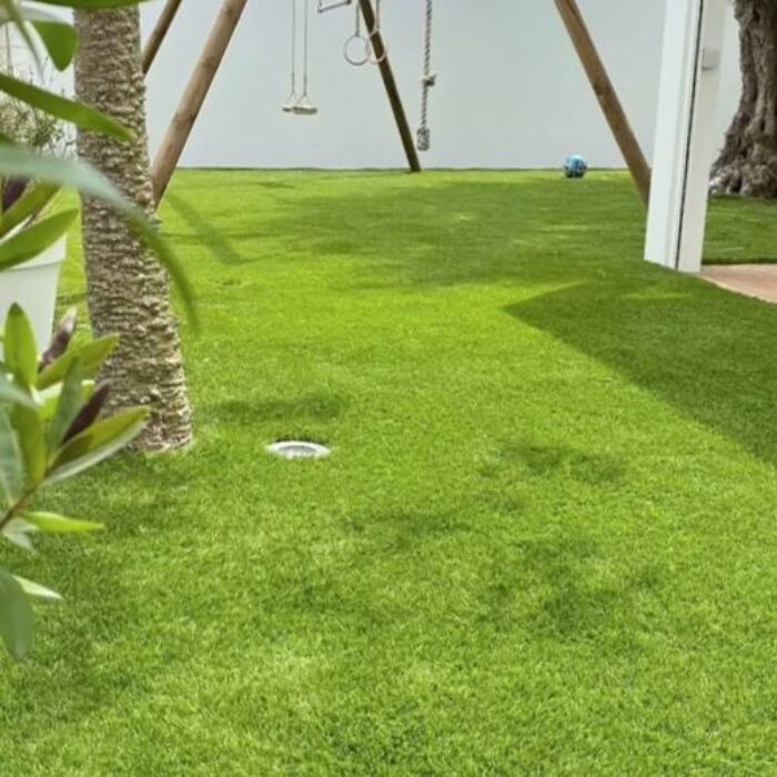 العشب الطبيعي (10)