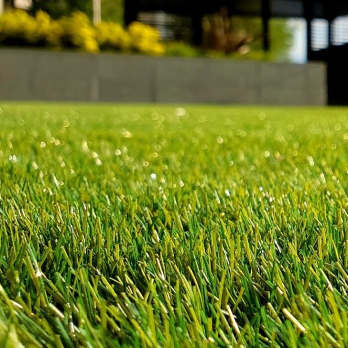 العشب الطبيعي (12)