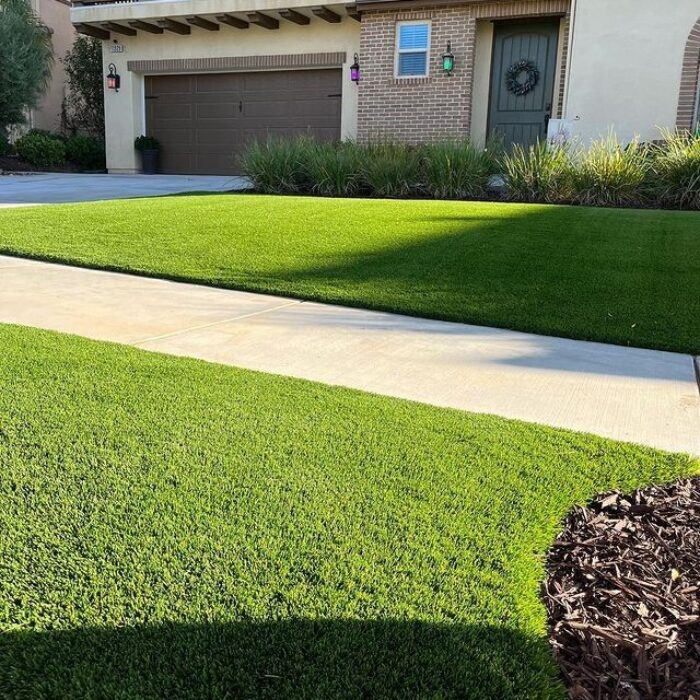 العشب الطبيعي (20)