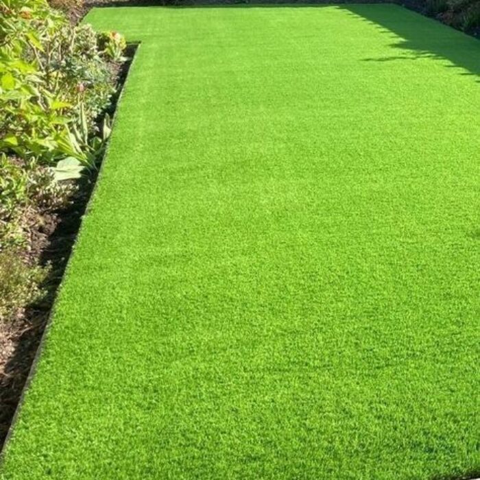 العشب الطبيعي (21)