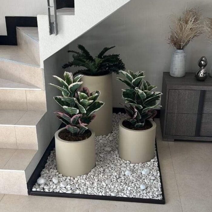 تحت الدرج (6)