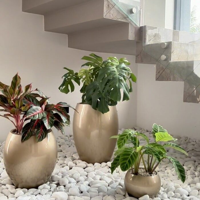 تحت الدرج (8)