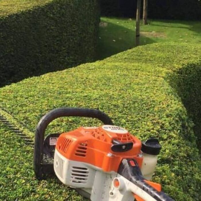 قص وتزيين الاشجار (9)